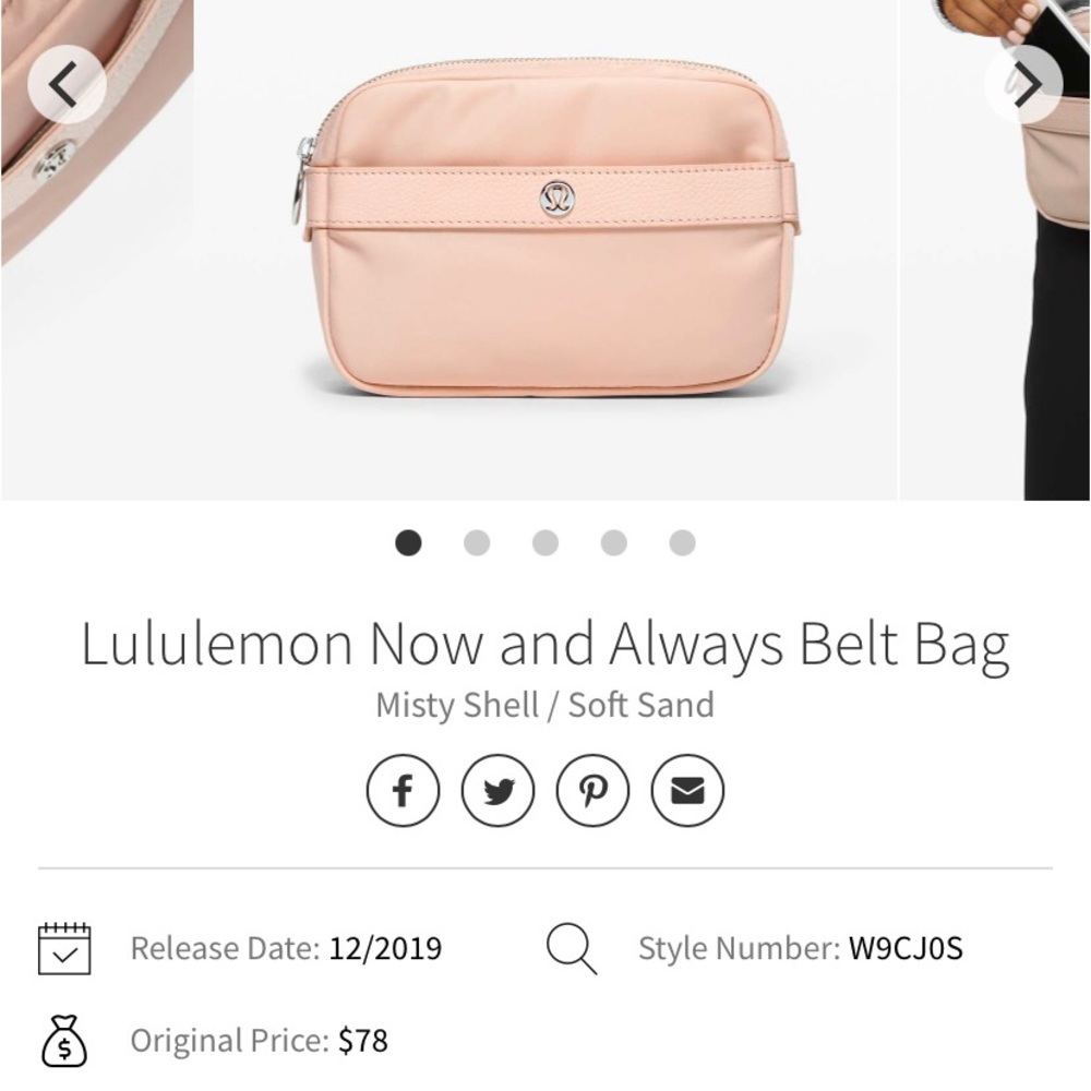 Fanny pack/Belt bag